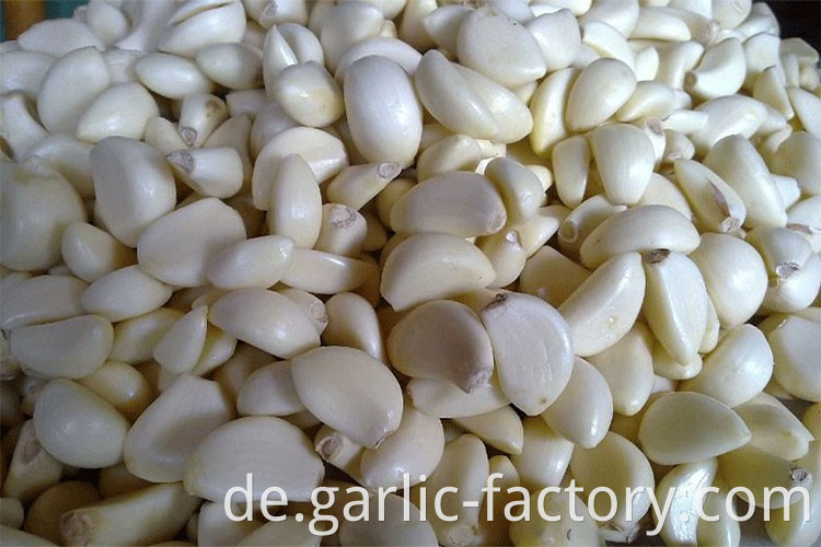 2020 market fresh garlic price